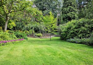Optimiser l'expérience du jardin à Montreuil-sur-Thonnance